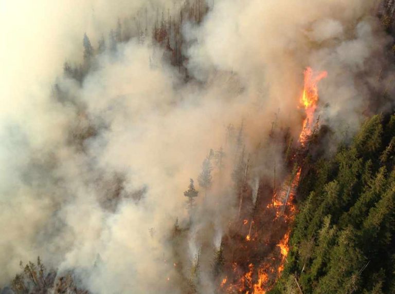 Wildfire reported in Kootenay national Park, near Highway 93