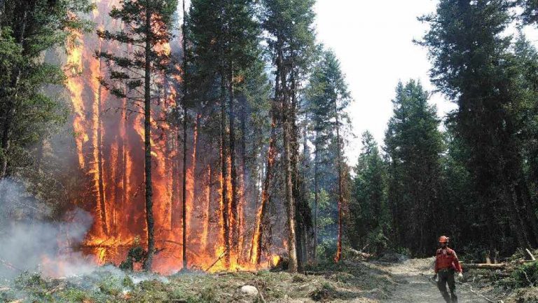 Lightning sparks several wildfires in East Kootenay