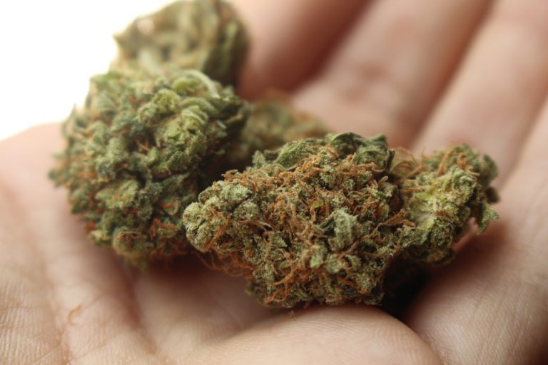 Cranbrook Council Approves Zoning for BC Cannabis Store
