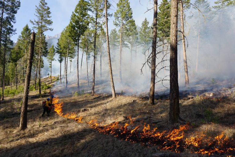 East Kootenay Still Under Wildfire Risk