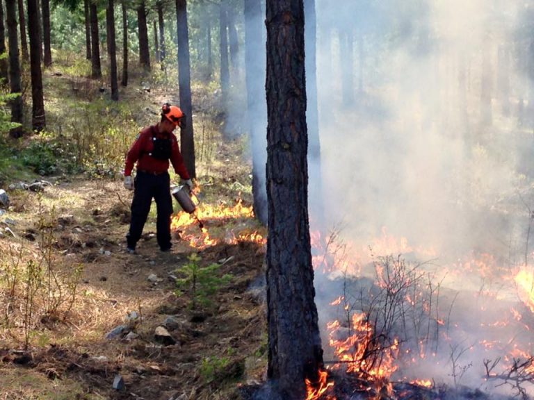 B.C. Wildfire Service Controls Blaze Near U.S. Border
