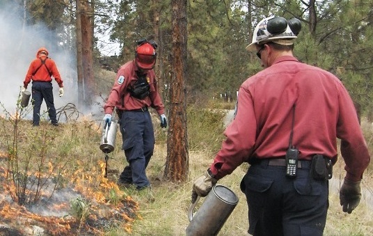 Controlled Burning Taking Place in Kimberley