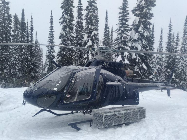 Fernie Search and Rescue save injured skier