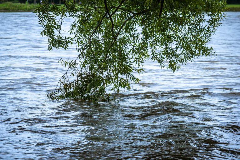 Living Lakes Canada hosting information meetings in Cranbrook, Wasa and Jaffray