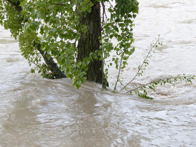 Flood warning issued for Elk River