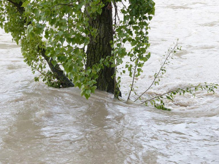 High streamflow advisory lifted, RDEK clears debris in Mine and Hosmer Creeks
