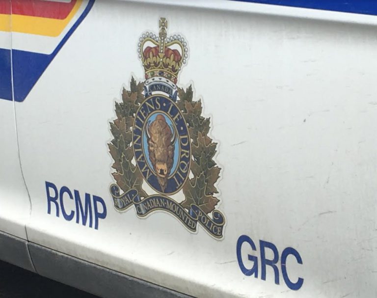 RCMP break up alleged party at Panorama rental