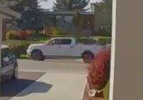 Cranbrook RCMP Search for Suspect in Hit-and-Run With a Child