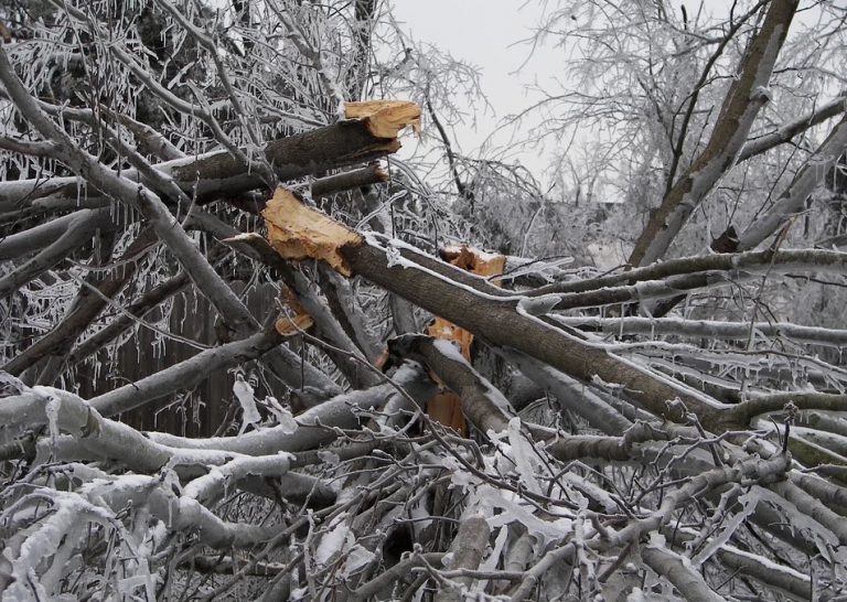 Strong winds prompt Special Weather Statement