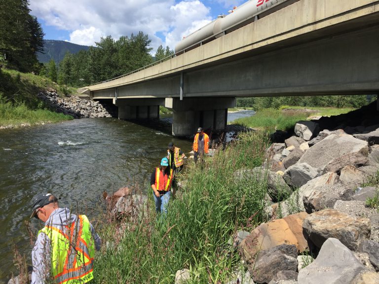 B.C. government to fund Highway 3 Wildlife fencing