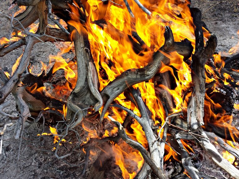 Controlled burn tackles wood waste at Wasa Transfer Station