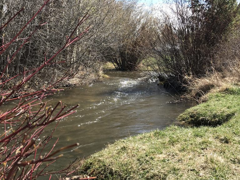 Local group growing native plants for Joseph Creek restoration