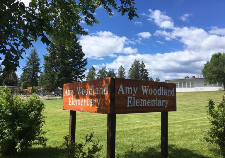 Amy Woodland Elementary to build new accessible playground