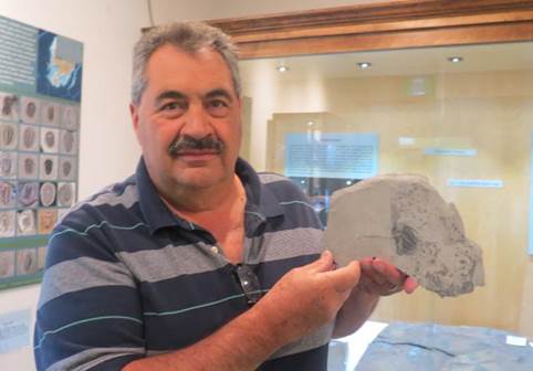 Cranbrook working to become a BC Government-certified fossil repository