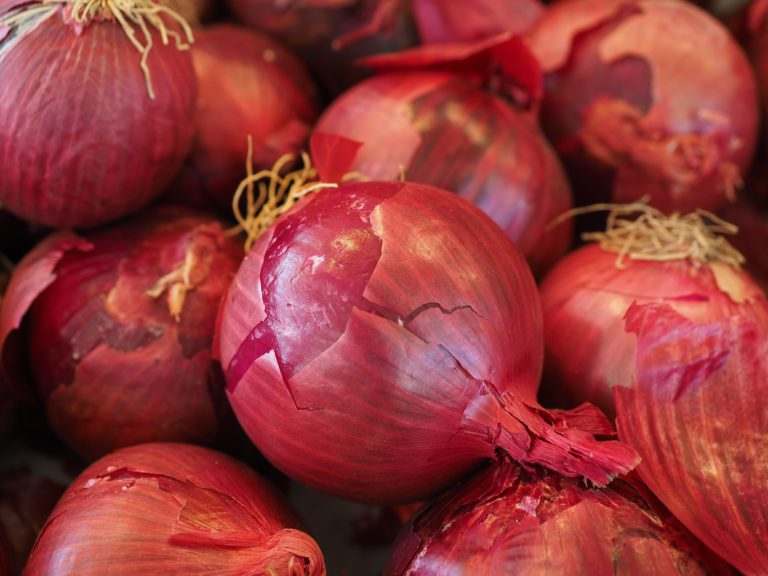 Salmonella outbreak in Canada traced to red onions imported from the United States