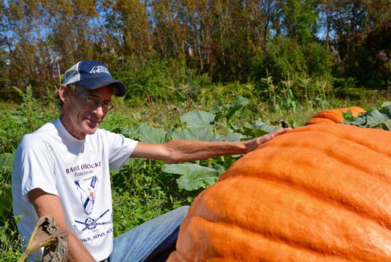 Top Crop Giant Pumpkin Growing Special Feature with Danny Dill, Windsor, Nova Scotia