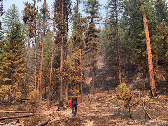 RDEK lifts Evacuation ALERT around Doctor Creek