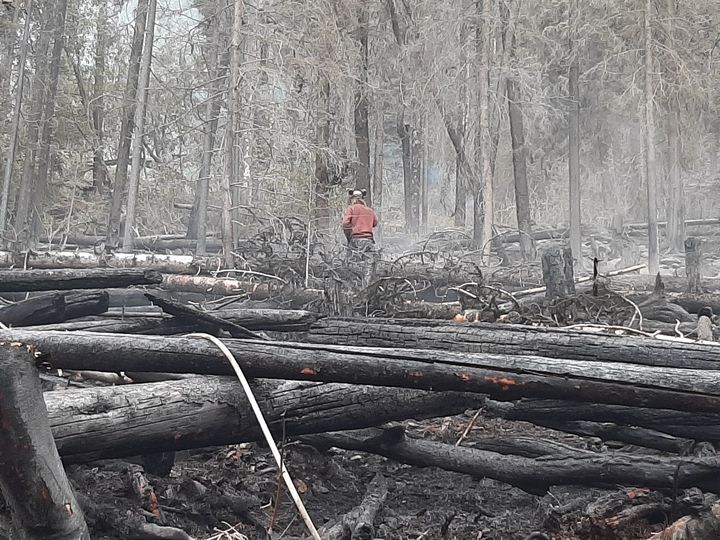 Doctor Creek wildfire now under control