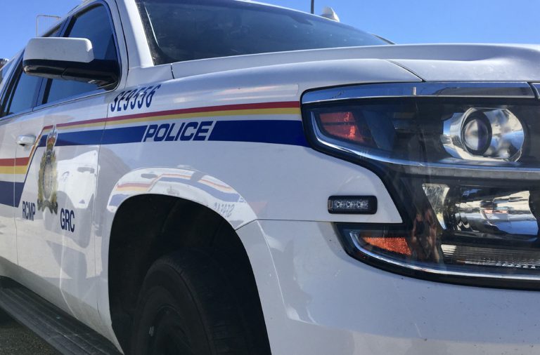 Kimberley RCMP arrest suspect involved in string of thefts