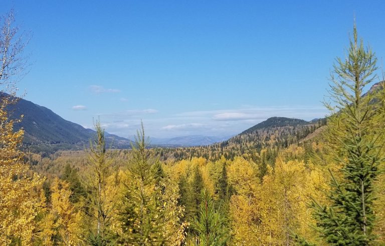 Fernie Nordic Society included in B.C. Tourism grants