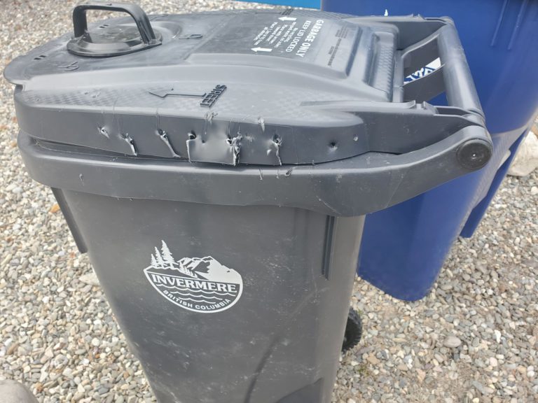 Invermere’s new garbage bins not bear resistant