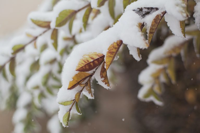 Heavy snow expected for the Elk Valley