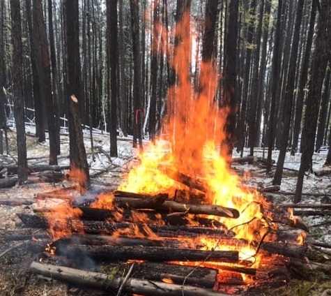 Kimberley prepares to burn several slash piles