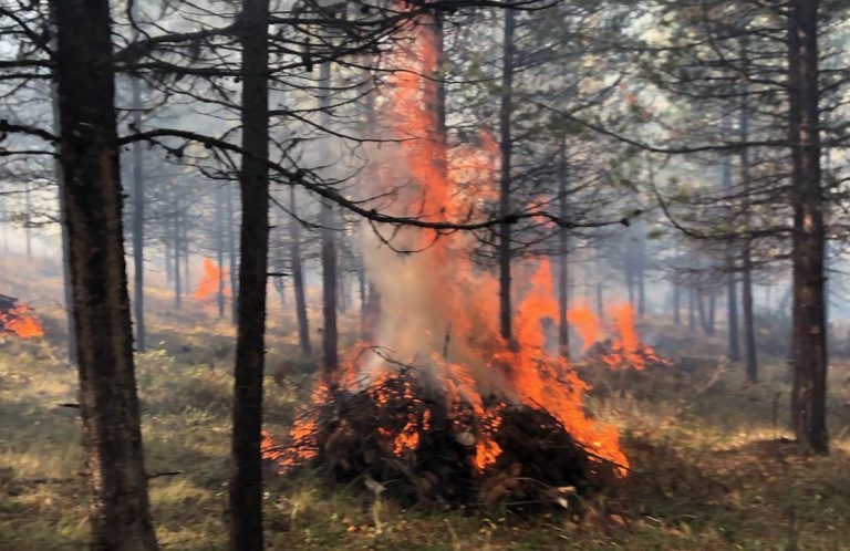 Prescribed burn to take place near Canadian Rockies International Airport