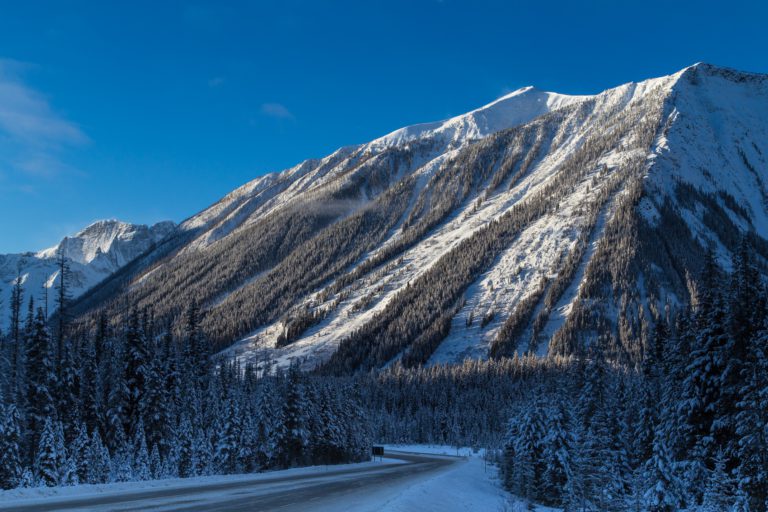 UPDATE: Highway 93 reopen after vehicle accident in Kootenay National Park