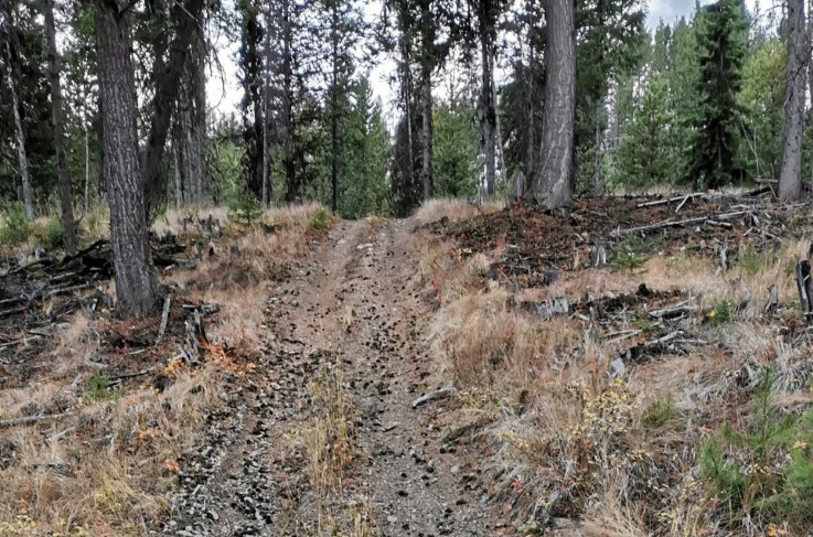 CBT provides nearly $500,000 for local trail projects