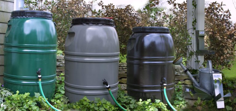 Cranbrook opens rain barrel rebate applications