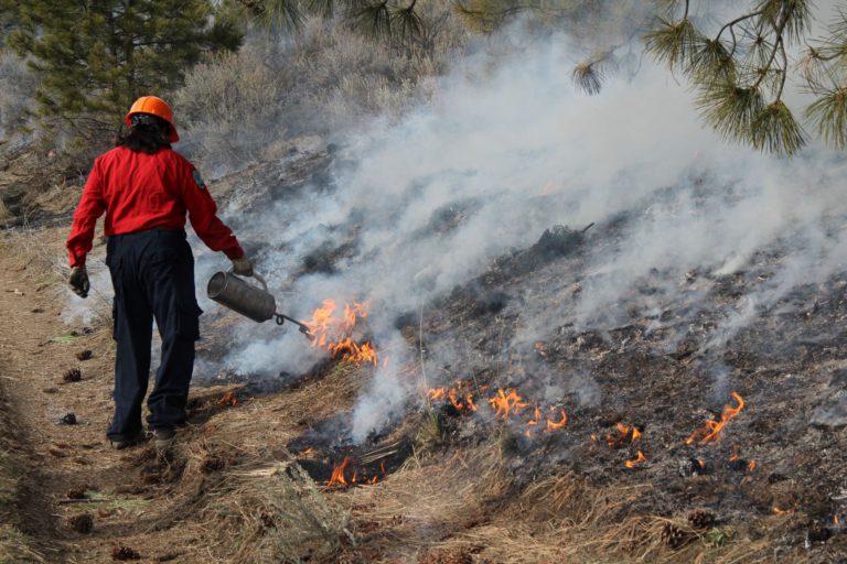 Prescribed burn planned for Kimberley Nature Park area