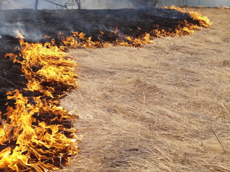 Small planned burn set for Tobacco Plains area