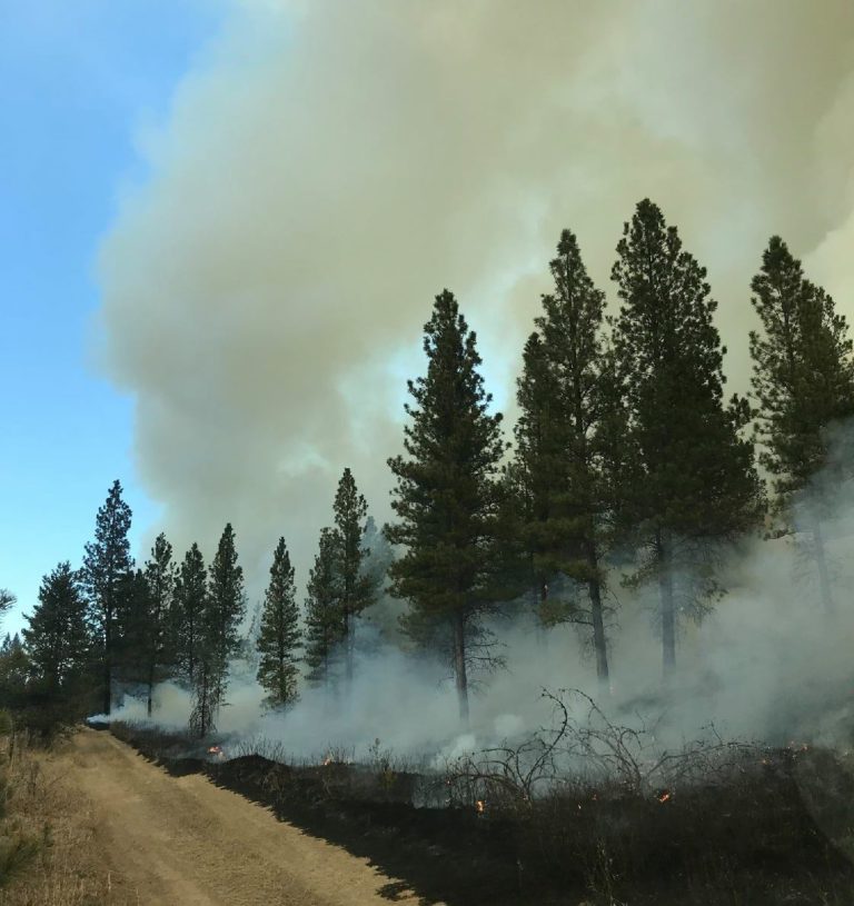 Small wildfire reported west of Kimberley