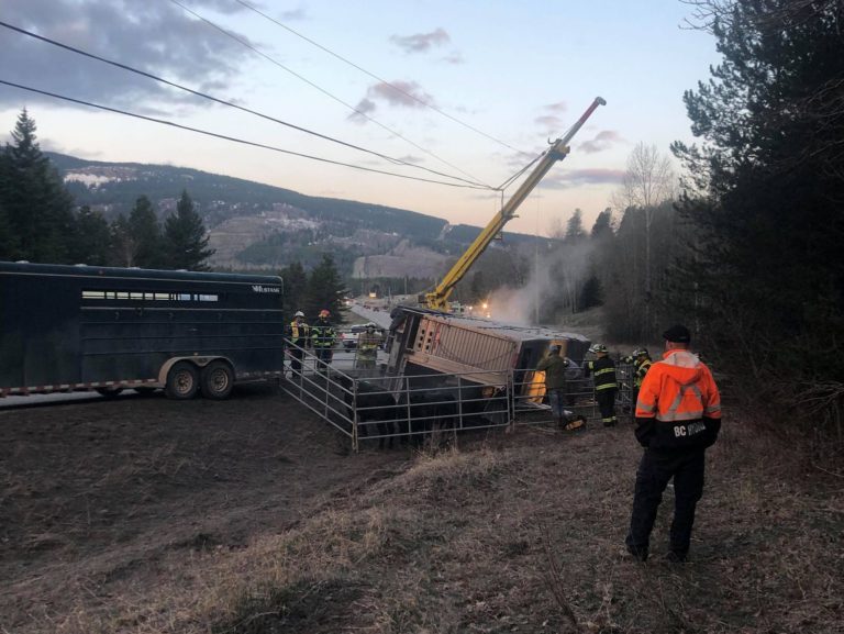 UPDATE: Highway 3 fully open after Cattle liner rollover east of Sparwood