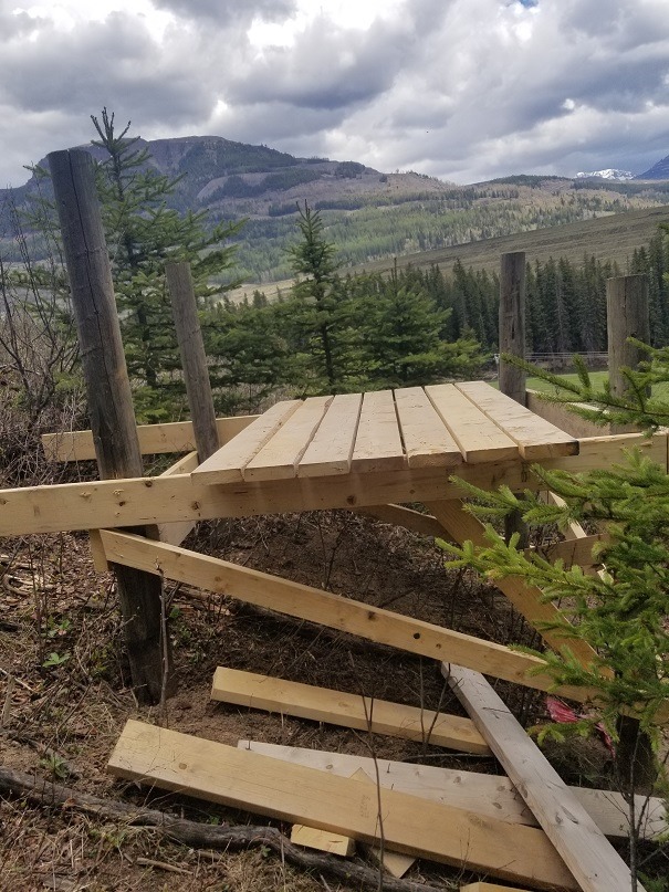 Sparwood searching for builders of unauthorized trail and structure