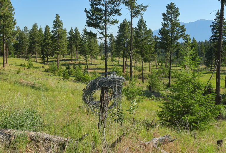 Clearing Derelict Barbwire from Padawan Trail and Eager Hill