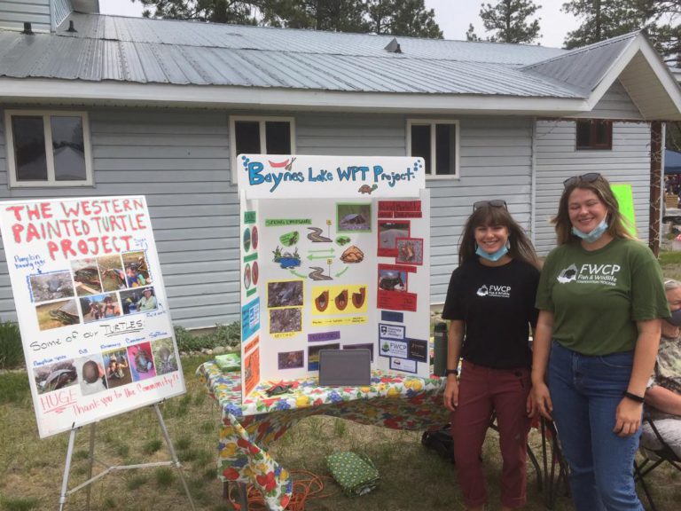 Baynes Lake Western Painted Turtle Project