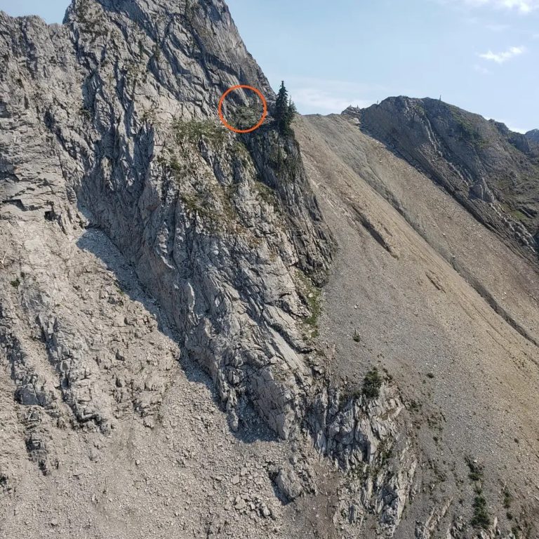 Fernie Search and Rescue performed back-to-back rescues last week