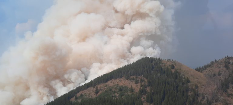 Firefighters protect building and infrastructure threatened by Bill Nye Mountain fire