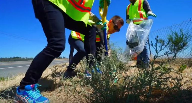 Province bringing back Adopt A Highway program