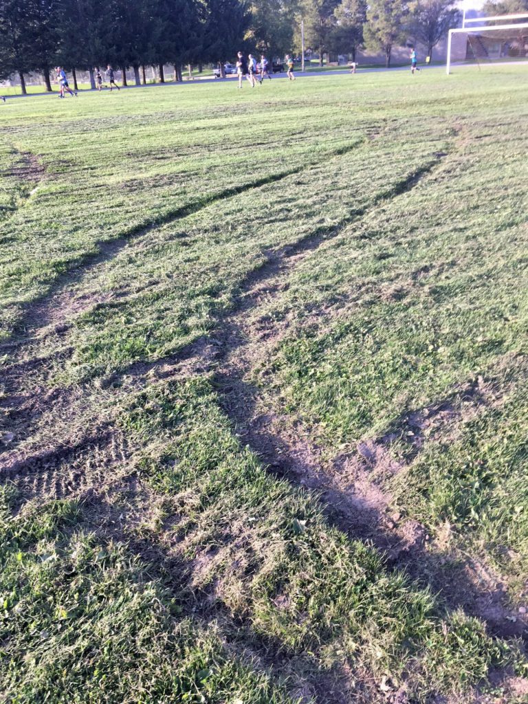 Vandalism damages local parks in Fernie