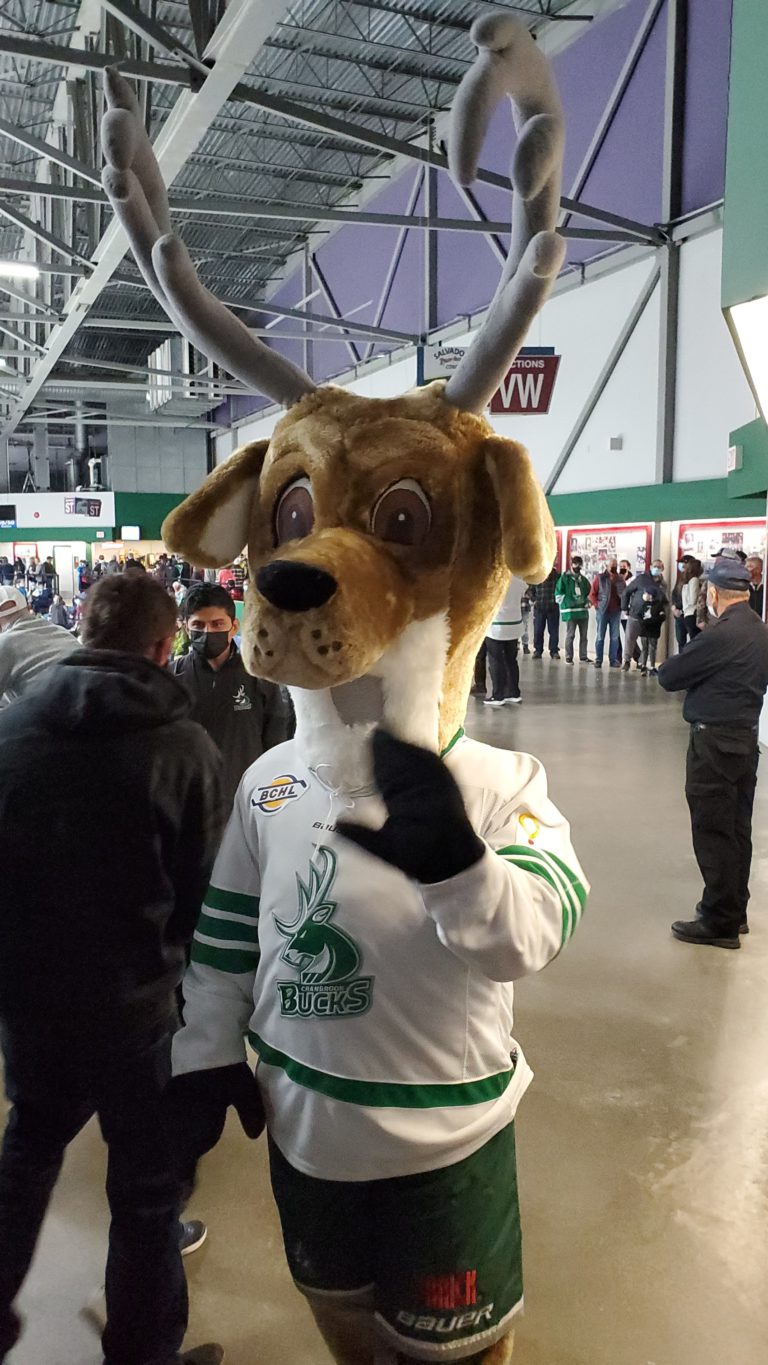 Bucks add to the herd