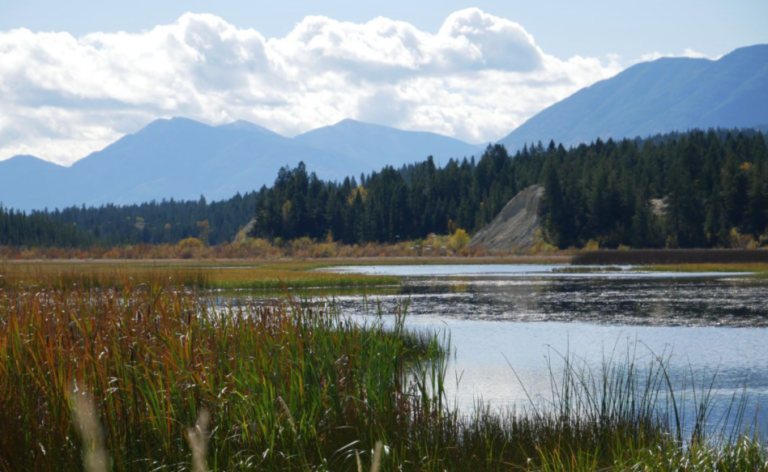 Land near Fairmont Hot Springs added to conservation efforts