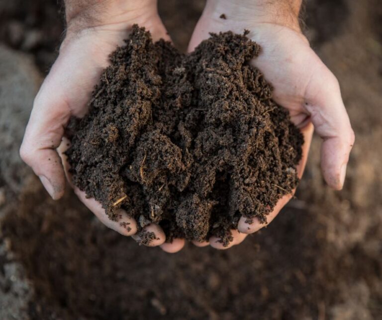 Kimberley organics collection begins