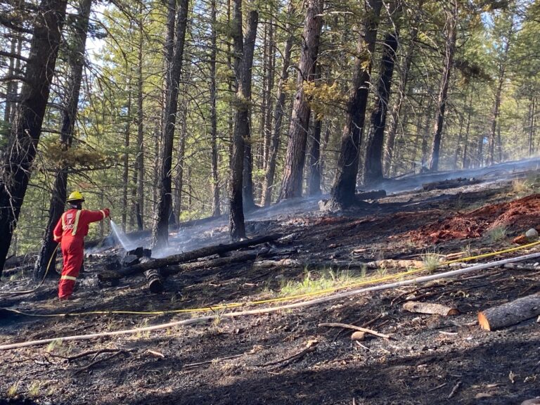 Crews contain Baynes Lake area wildfire