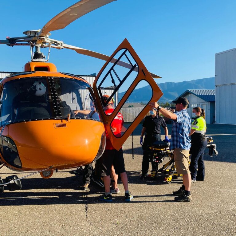 Paraglider rescued from tree