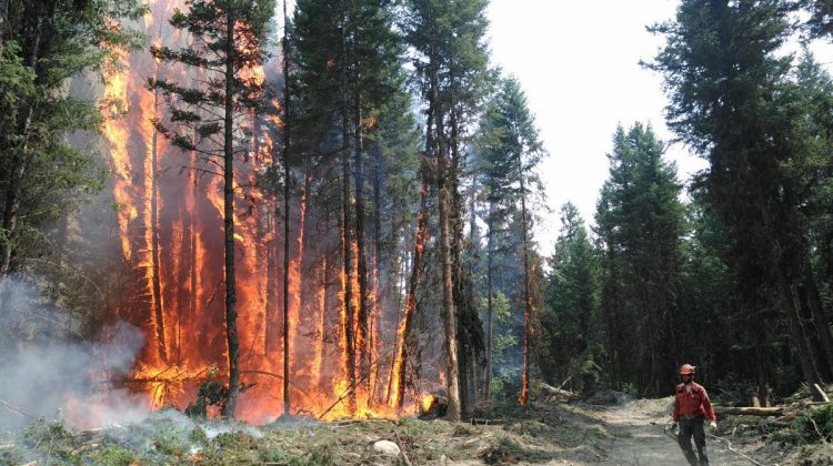 B.C. extends provincial state of emergency in response to wildfires