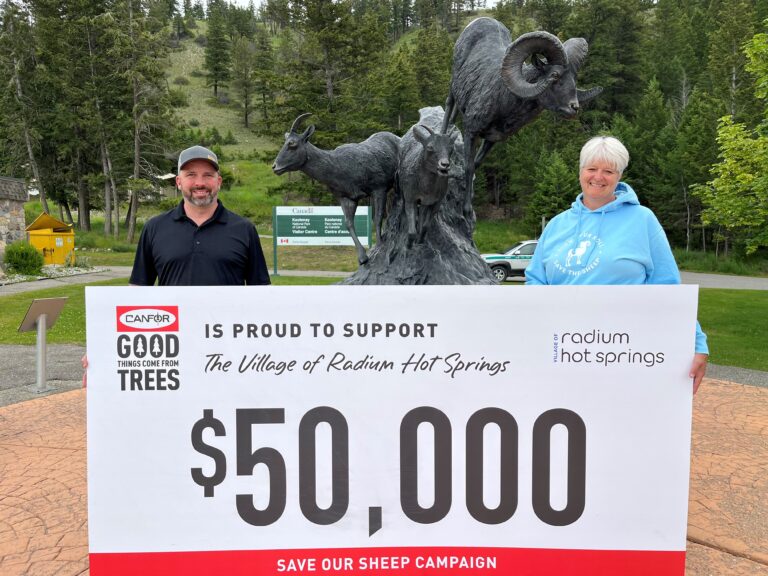 Canfor donation boosts Save the Bighorn Sheep campaign
