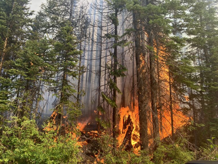New fire reported north of Elkford